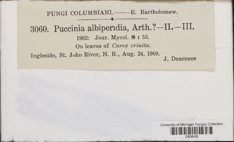 Puccinia albi-peridia image