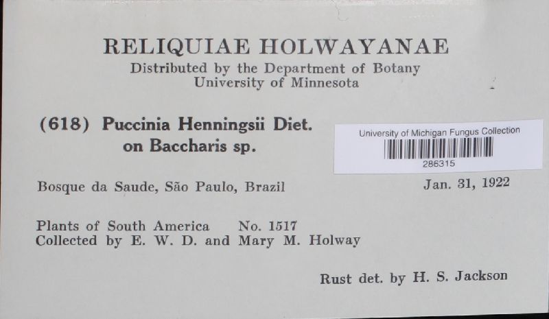 Puccinia henningsii image