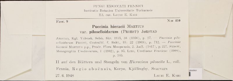 Puccinia hieracii var. piloselloidarum image