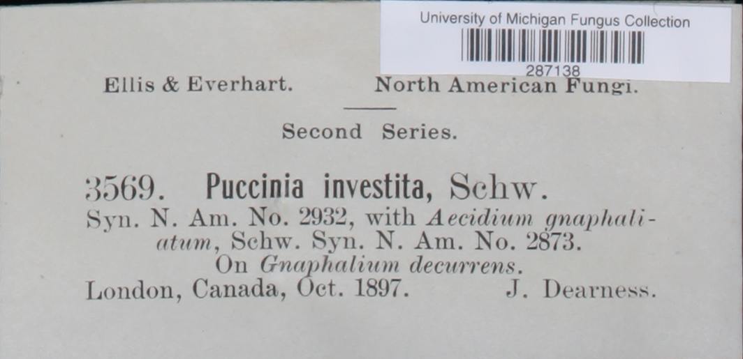 Puccinia investita image