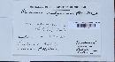 Puccinia recondita image