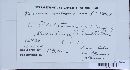 Puccinia recondita image
