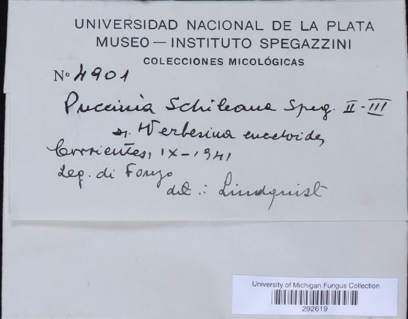 Puccinia schileana image