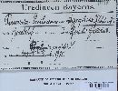 Puccinia smilacearum-digraphidis image