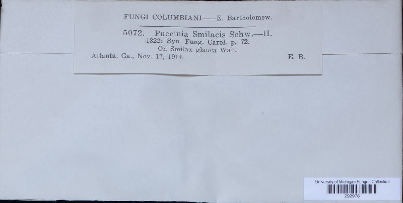 Puccinia smilacis image