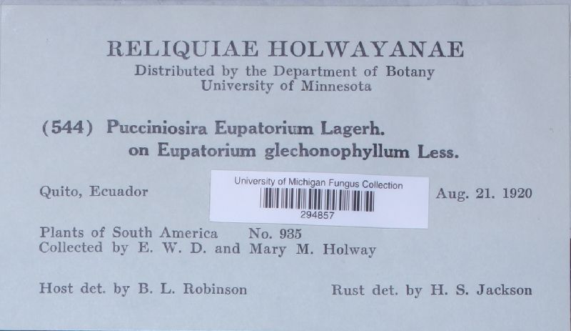 Pucciniosira eupatorii image