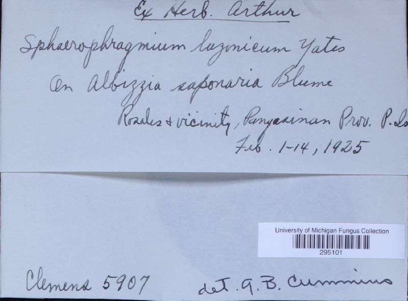 Sphaerophragmium image