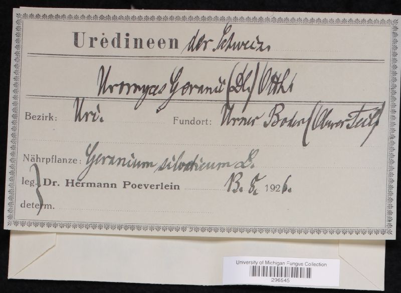 Uromyces geranii image