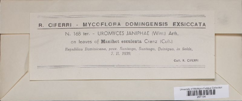 Uromyces janiphae image