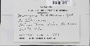 Uromyces setariae-italicae image