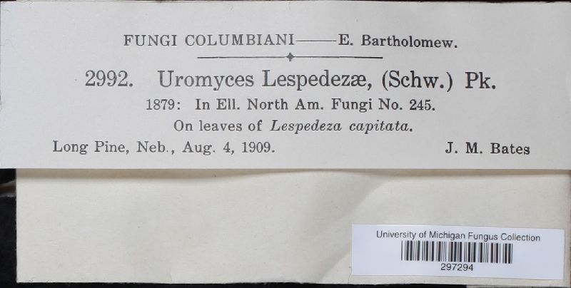 Uromyces lespedezae image