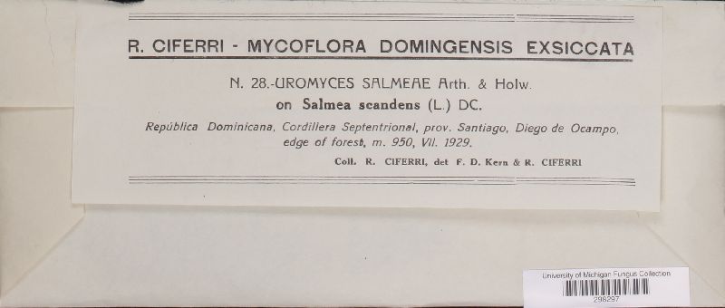 Uromyces salmeae image