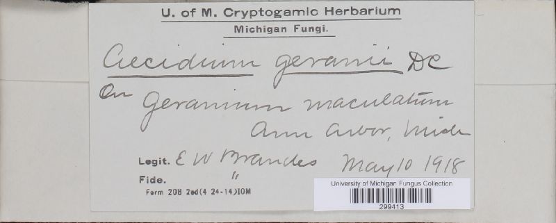 Uromyces geranii image