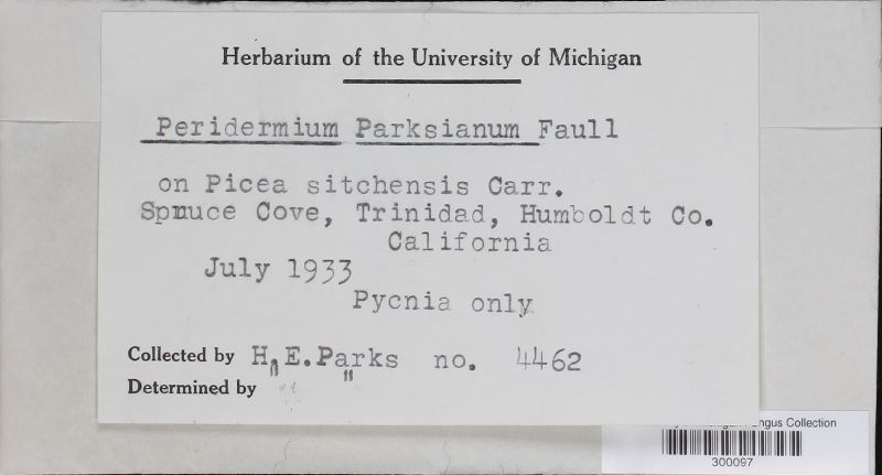 Peridermium parksianum image