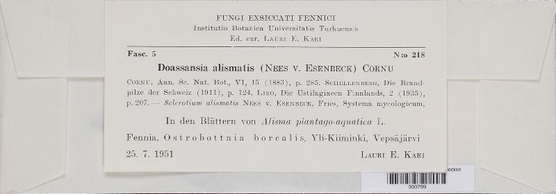 Doassansia alismatis image