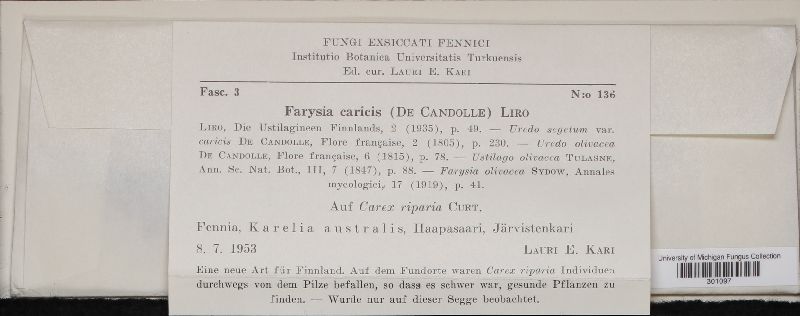 Farysia caricis image