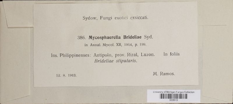 Mycosphaerella brideliae image