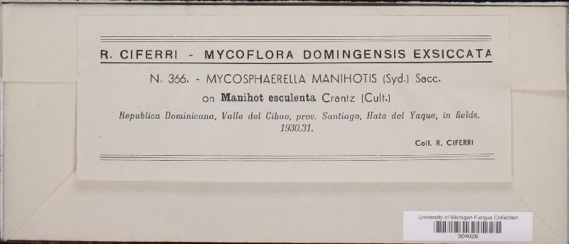 Mycosphaerella manihotis image