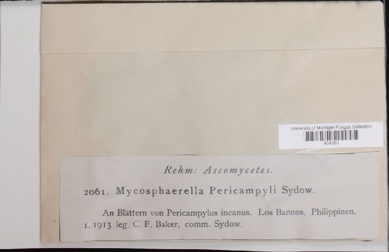 Mycosphaerella pericampyli image