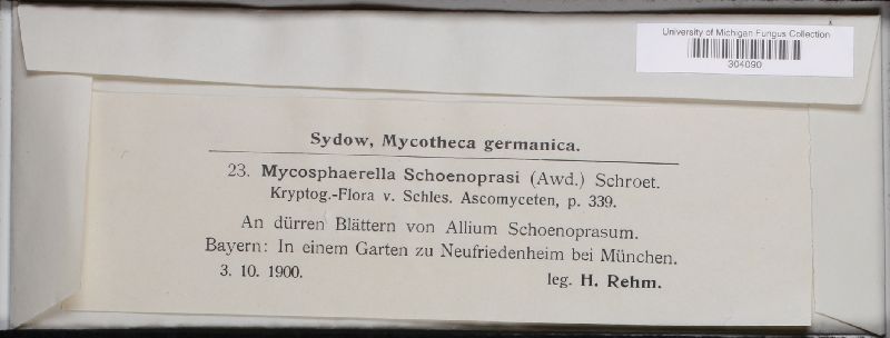 Mycosphaerella tassiana image