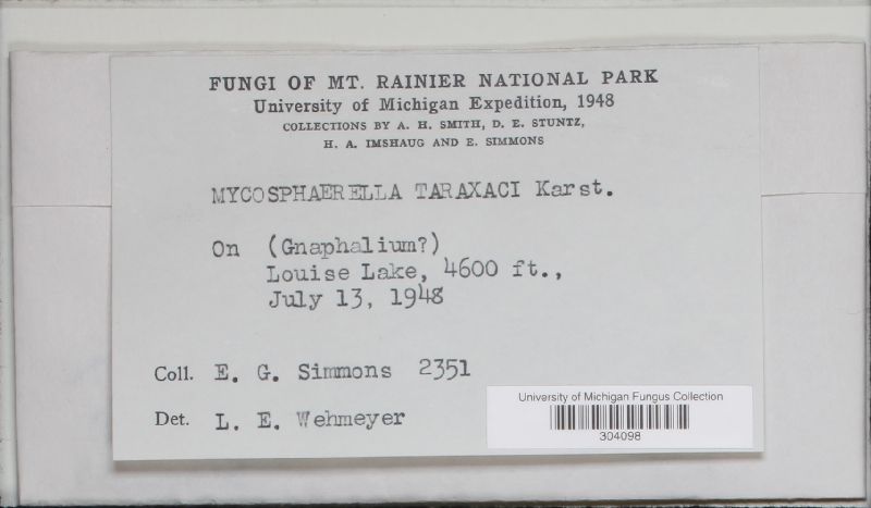 Mycosphaerella taraxaci image