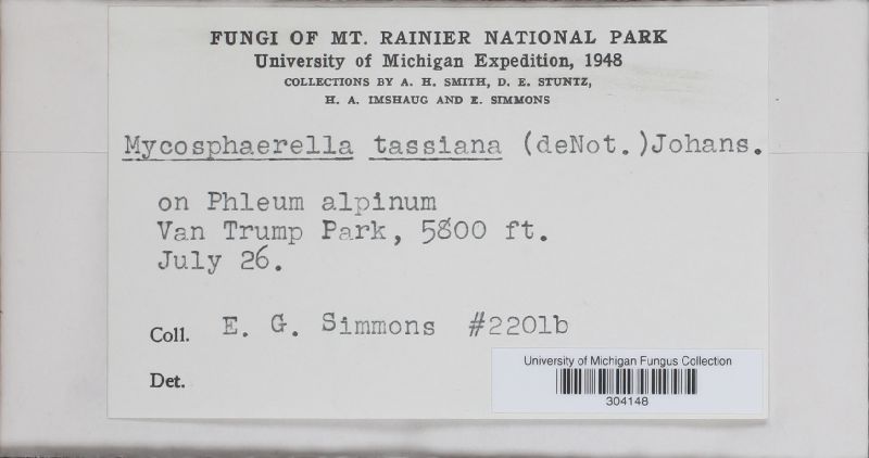Mycosphaerella tassiana image