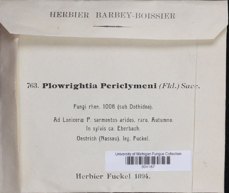 Plowrightia periclymeni image