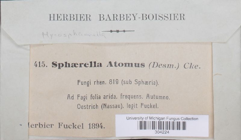Mycosphaerella atomus image