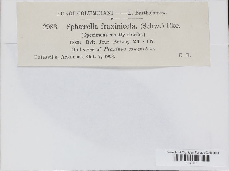 Sphaerella fraxinicola image