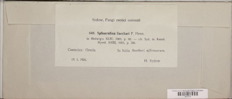 Sphaerulina sacchari image