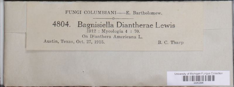 Bagnisiella diantherae image
