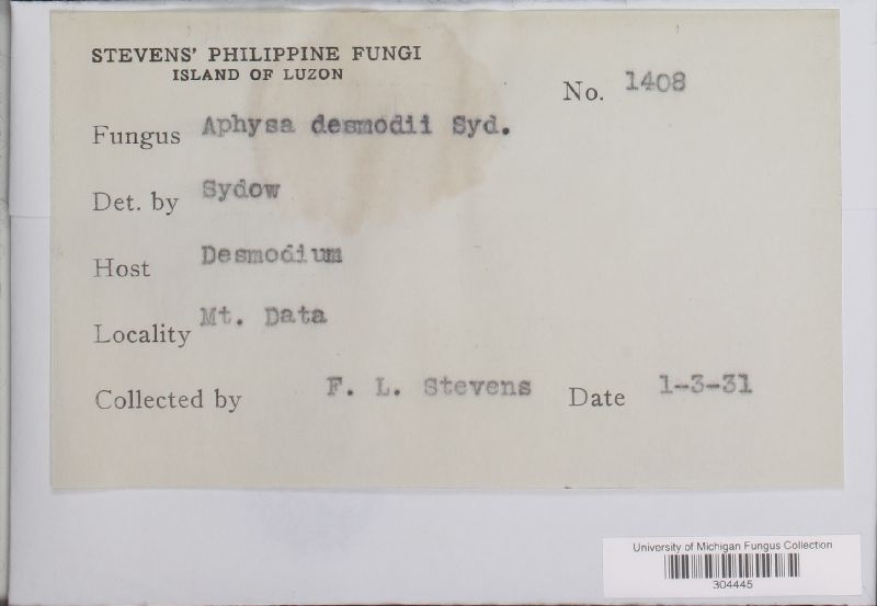 Aphysa desmodii image