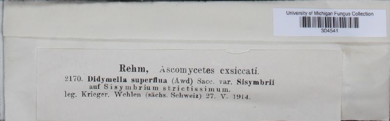 Didymella sisymbrii image