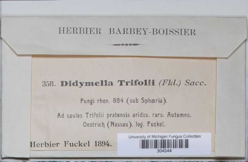 Didymella trifolii image