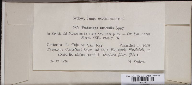 Eudarluca australis image
