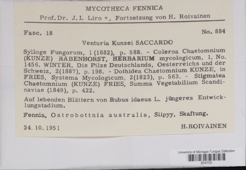 Venturia kunzei image