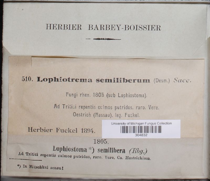 Lophiotrema semiliberum image