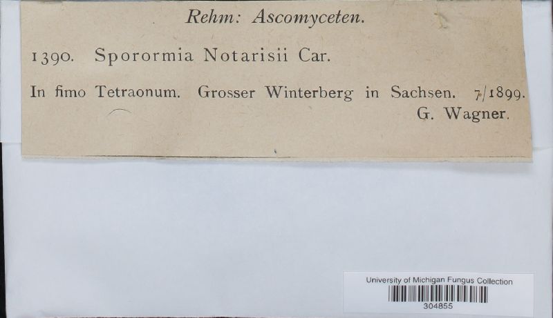Sporormia notarisii image