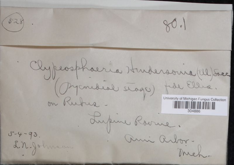 Clypeosphaeria hendersoniae image