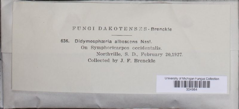 Didymosphaeria albescens image