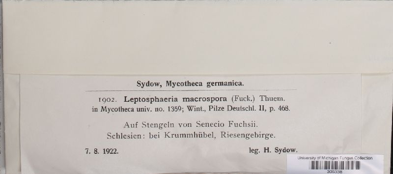 Leptosphaeria macrospora image
