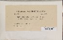 Leptospora rubella image