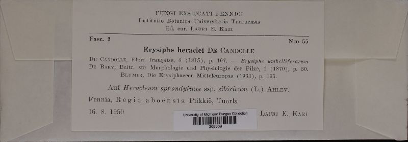 Erysiphe heraclei image