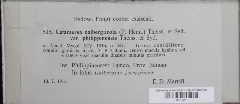 Phyllachora spissa image
