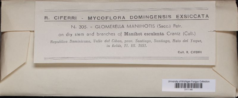 Glomerella manihotis image