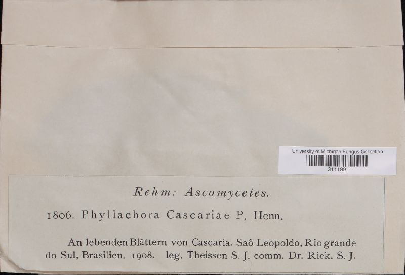 Phyllachora caseariae image