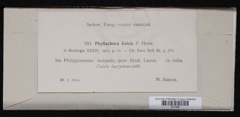 Phyllachora coicis image