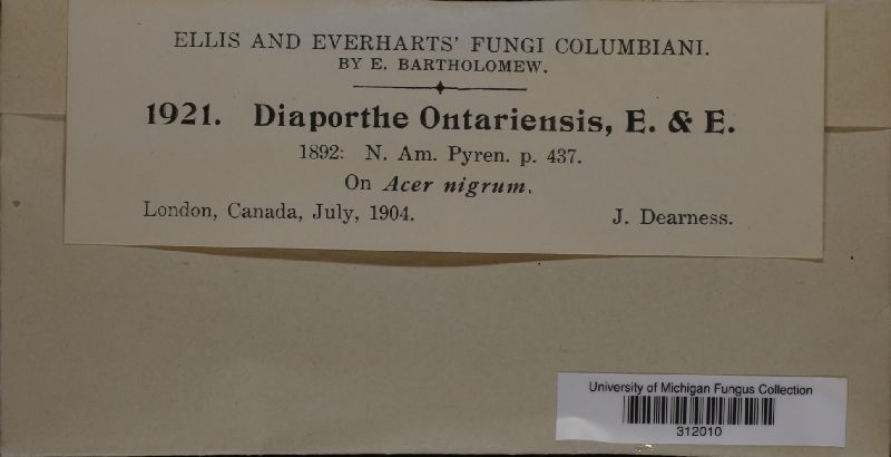 Diaporthe ontariensis image