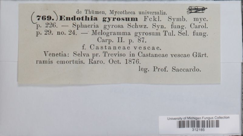 Endothia gyrosum image
