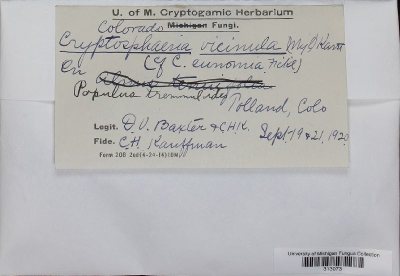 Cryptosphaeria vicinula image
